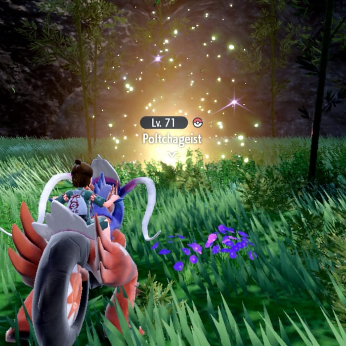 A static encounter for a Poltchageist in Pokemon SV DLC.